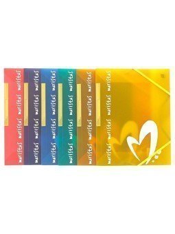 CARPETA A4 PLASTICO...